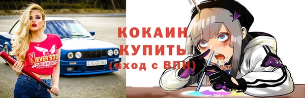спиды Инсар