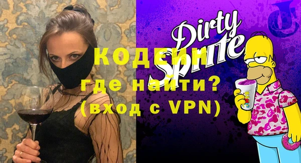 мет Инта