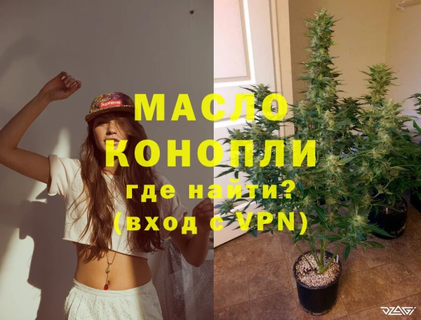 мет Инта