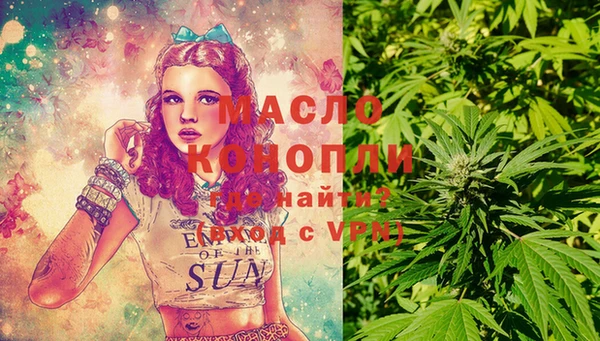 спиды Инсар