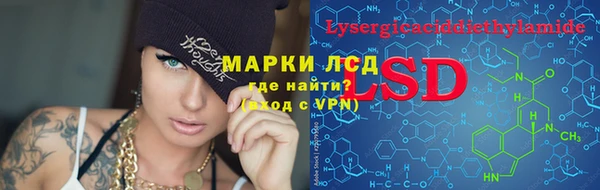 спиды Инсар