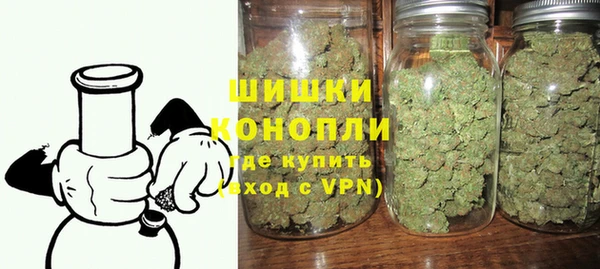 мет Инта