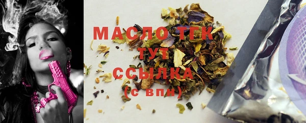 мет Инта