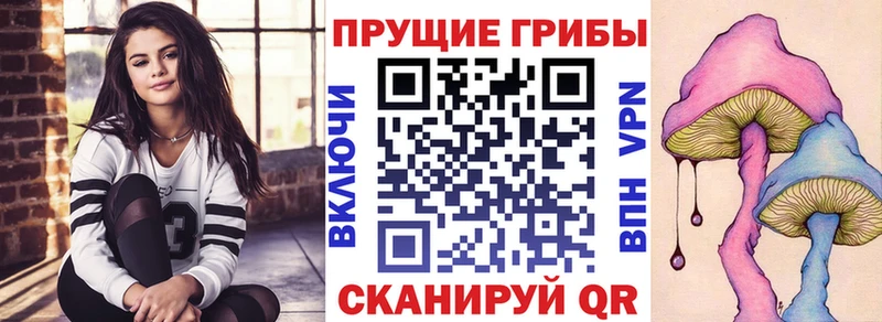 Галлюциногенные грибы прущие грибы  цены наркотик  Невельск 
